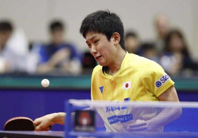 沙特的背后 沙特的背后