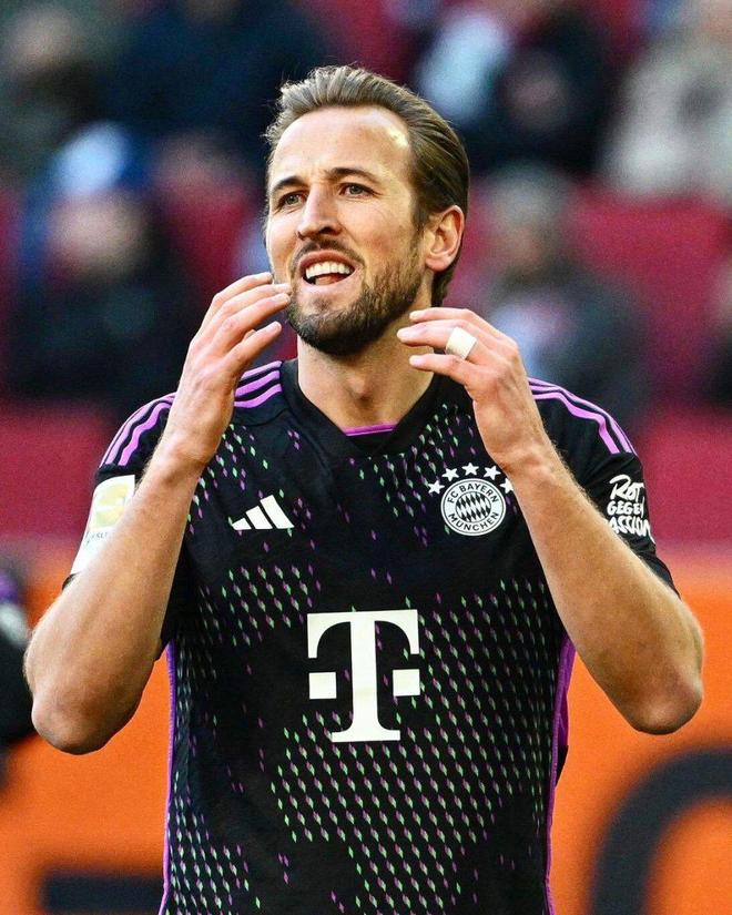 不仅评估了 不仅评估了