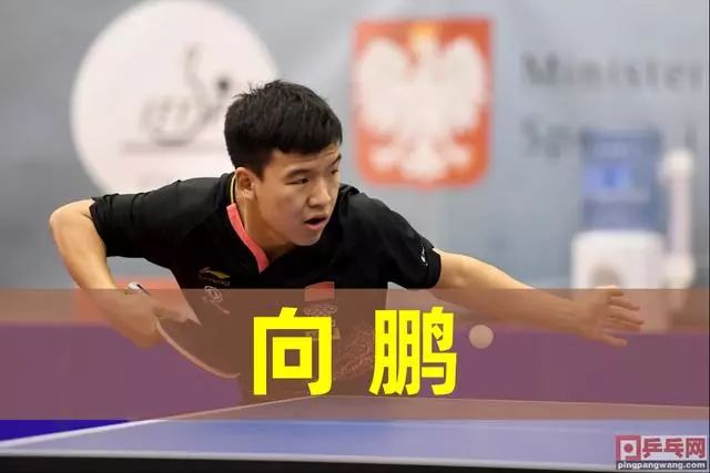 球粉丝的关 球粉丝的关